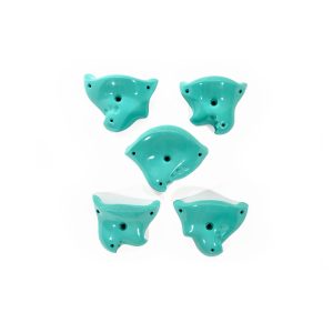 FastJugs Heart Valley 2.1 climbing hold set